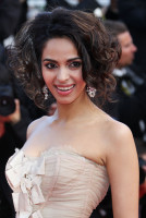 photo 17 in Mallika Sherawat gallery [id321602] 2010-12-29