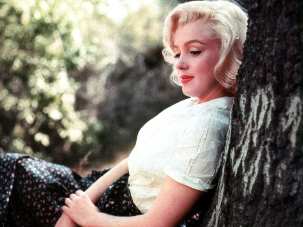 Marilyn Monroe: pic #582237