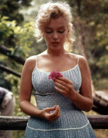 Marilyn Monroe photo #