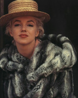 Marilyn Monroe photo #