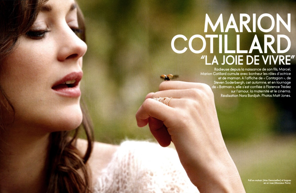 Marion Cotillard: pic #398526