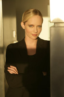 Marley Shelton photo #