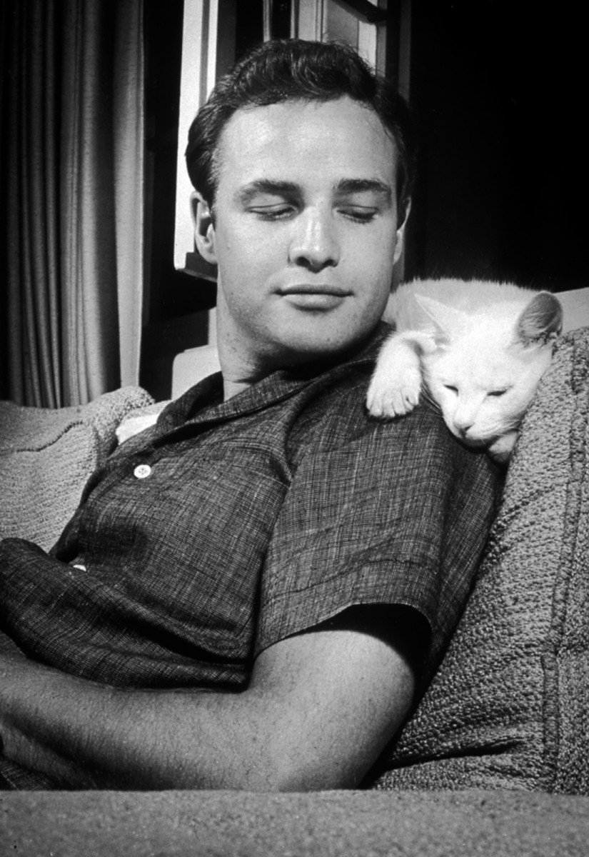 Marlon Brando: pic #182638