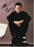 Matthew Perry photo #