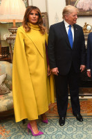 Melania Trump photo #