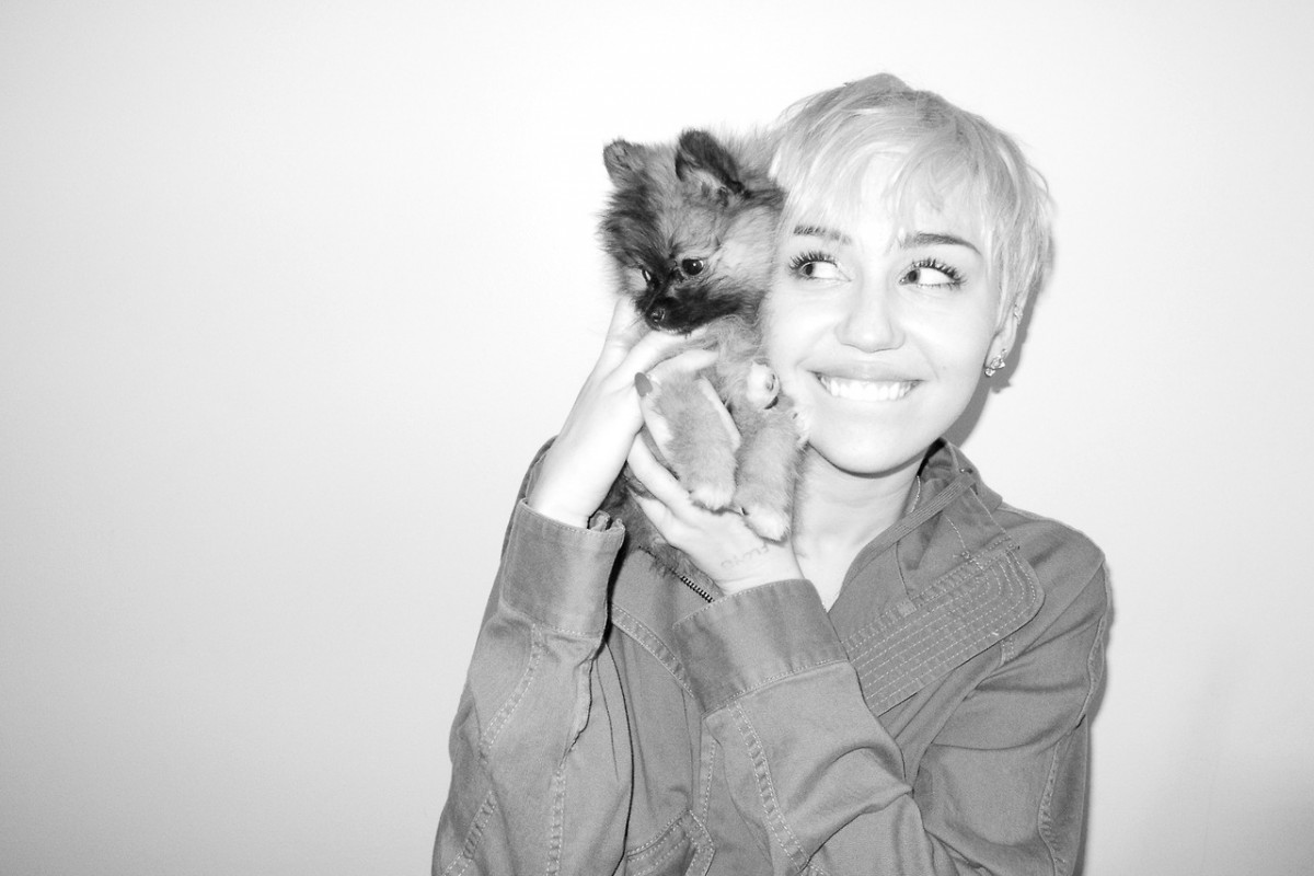 Miley Cyrus: pic #717237