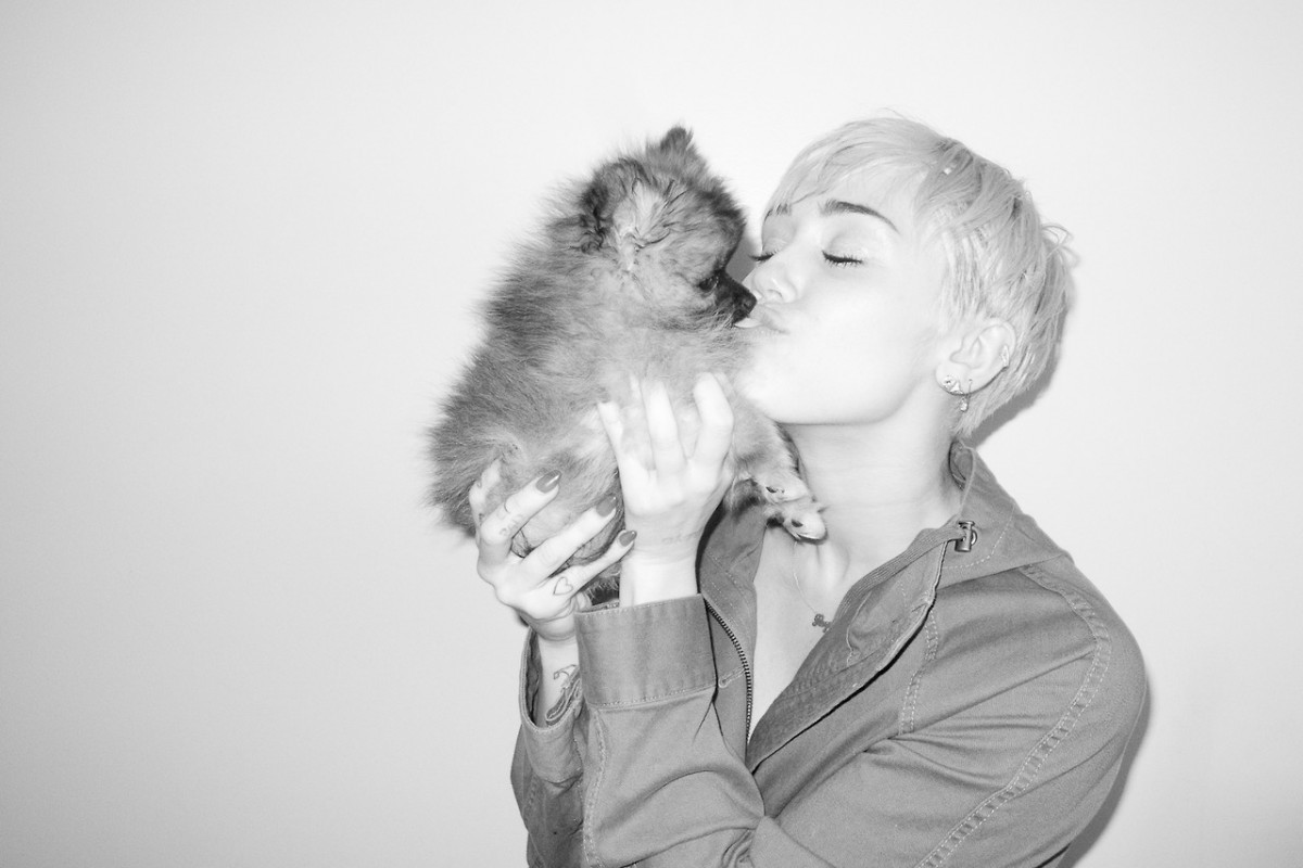 Miley Cyrus: pic #717240
