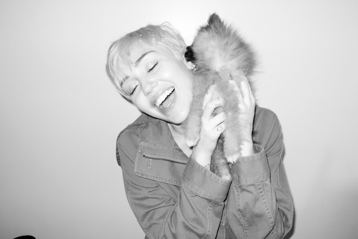Miley Cyrus: pic #717243