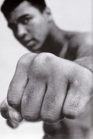 photo 21 in Ali gallery [id202930] 2009-11-19
