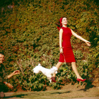 photo 27 in Natalie Wood gallery [id358955] 2011-03-21
