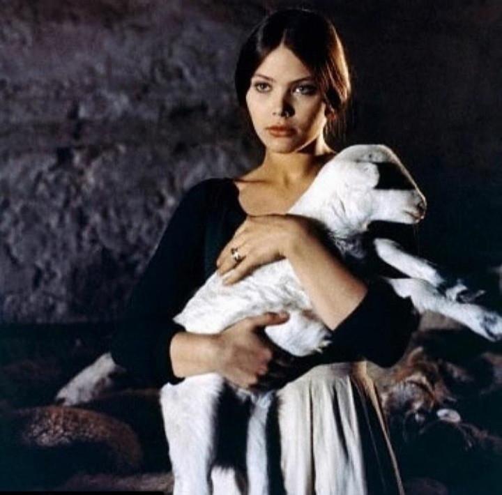 Ornella Muti: pic #1236640