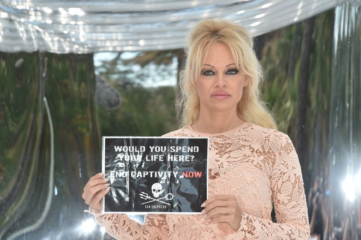 Pamela Anderson: pic #852832