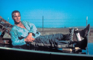 Paul Newman pic #244620