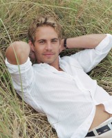 Paul Walker photo #