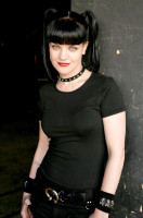 Pauley Perrette photo #