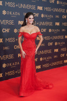 photo 4 in Pia Wurtzbach gallery [id906231] 2017-02-02