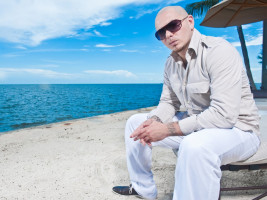 Pitbull photo #