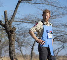 Prince Harry of Wales photo #