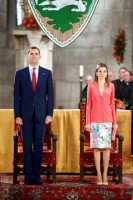 Queen Letizia of Spain photo #