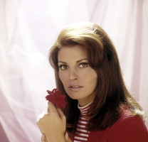 photo 28 in Raquel Welch gallery [id366390] 2011-04-08