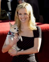 photo 7 in Reese Witherspoon gallery [id312155] 2010-12-06