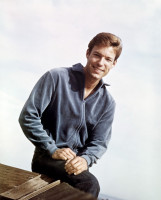 Richard Chamberlain photo #