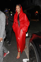 photo 14 in Rihanna gallery [id1297845] 2022-02-21