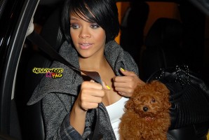 photo 29 in Rihanna gallery [id122382] 2008-12-26