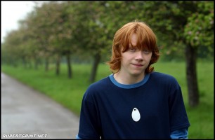 Rupert Grint pic #141053