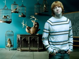 photo 20 in Rupert Grint gallery [id231588] 2010-01-29