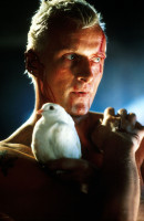 Rutger Hauer photo #