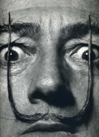 Salvador Dali photo #