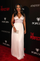 Sanaa Lathan photo #