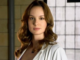 Sarah Wayne Callies photo #