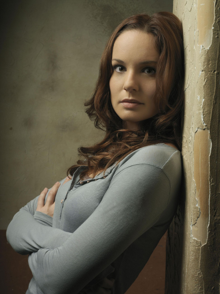 Sarah Wayne Callies: pic #367856