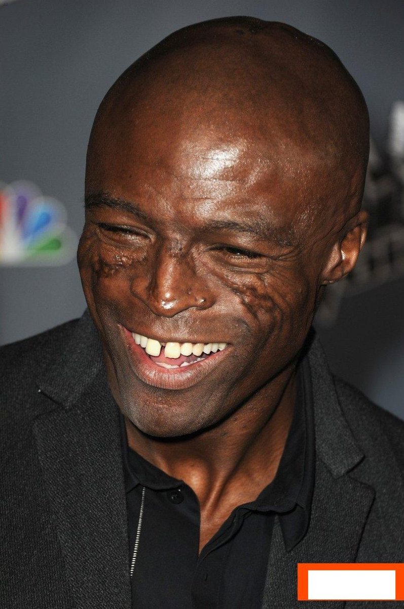 Seal: pic #595169