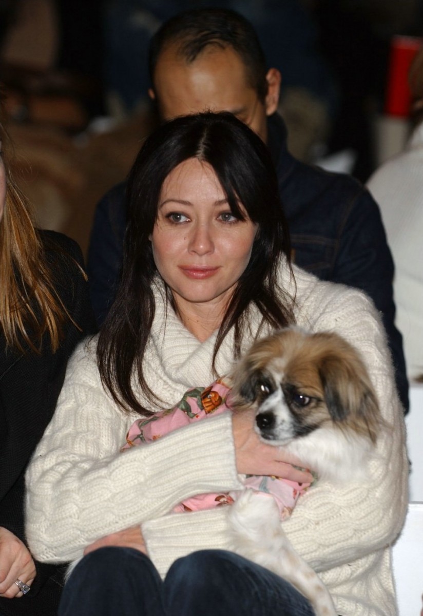 Shannen Doherty: pic #31057