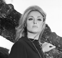 Sharon Tate photo #