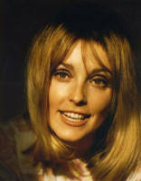 Sharon Tate photo #