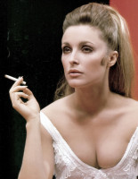 Sharon Tate photo #