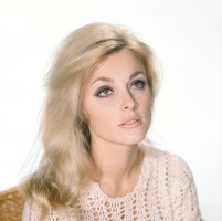 Sharon Tate photo #