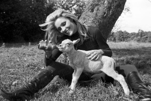 Sharon Tate photo #