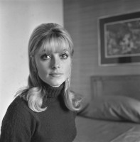 Sharon Tate photo #