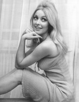 Sharon Tate photo #