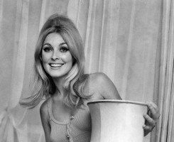 Sharon Tate photo #