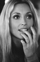 Sharon Tate photo #