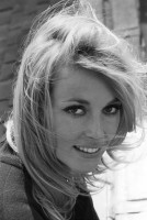 Sharon Tate photo #