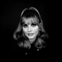 Sharon Tate photo #