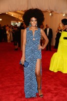 photo 19 in Solange Knowles gallery [id609291] 2013-06-07