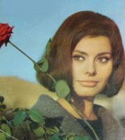 photo 19 in Sophia Loren gallery [id150280] 2009-04-24